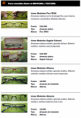 /album/opticasml-cl/lentes-opticos-1-png/